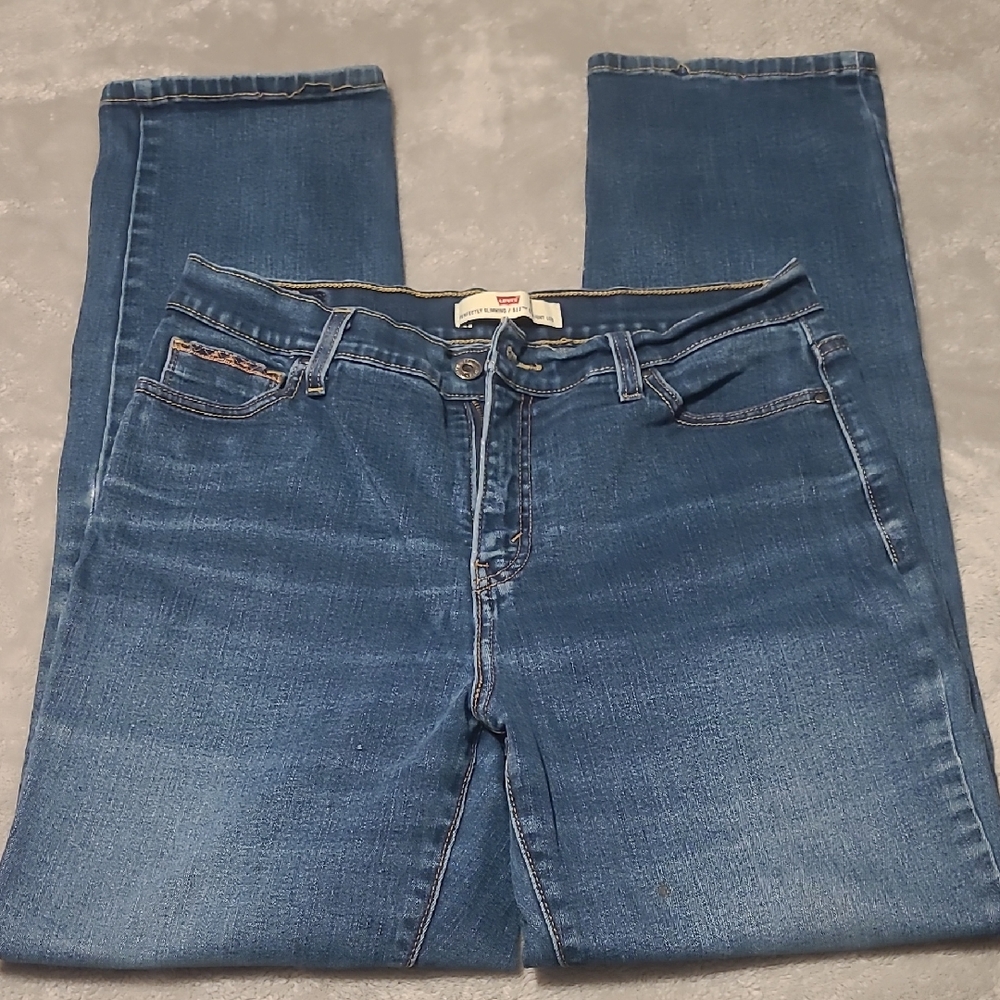 Levi's Men's Straight Fit Blue Jeans